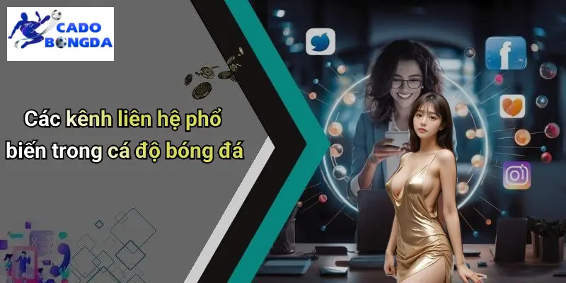 Liên Hệ 2 Liên Hệ