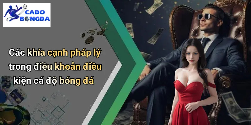 Điều Khoản Điều Kiện 3 Điều Khoản Điều Kiện