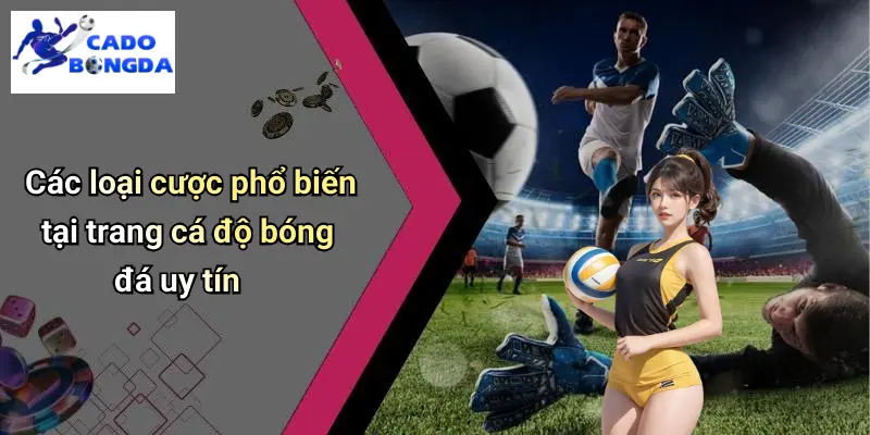 Cá độ bóng đá 69 Cá Độ Bóng Đá