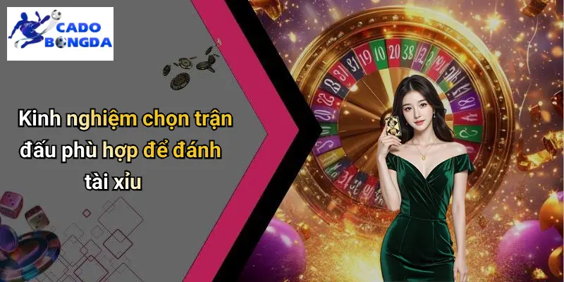 Kèo Tài Xỉu: Hiểu Đúng, Chơi Chuẩn Trong Cá Độ Bóng Đá 4 Kèo Tài Xỉu