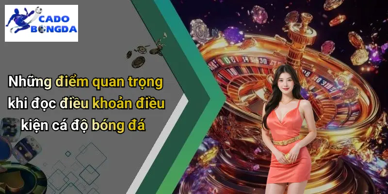 Điều Khoản Điều Kiện 2 Điều Khoản Điều Kiện