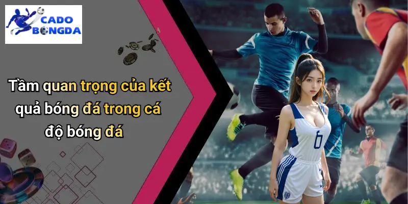 Kết Quả Bóng Đá 31 Kết Quả Bóng Đá