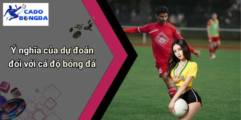 Dự đoán 1 Dự Đoán