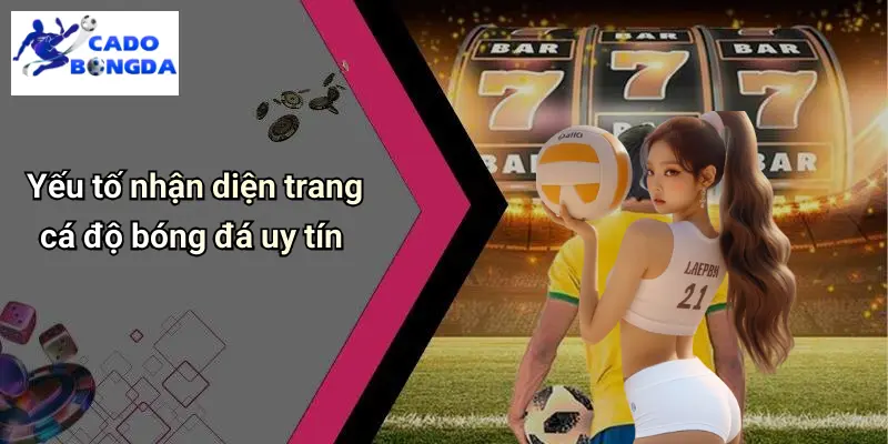 Cá độ bóng đá 68 Cá Độ Bóng Đá