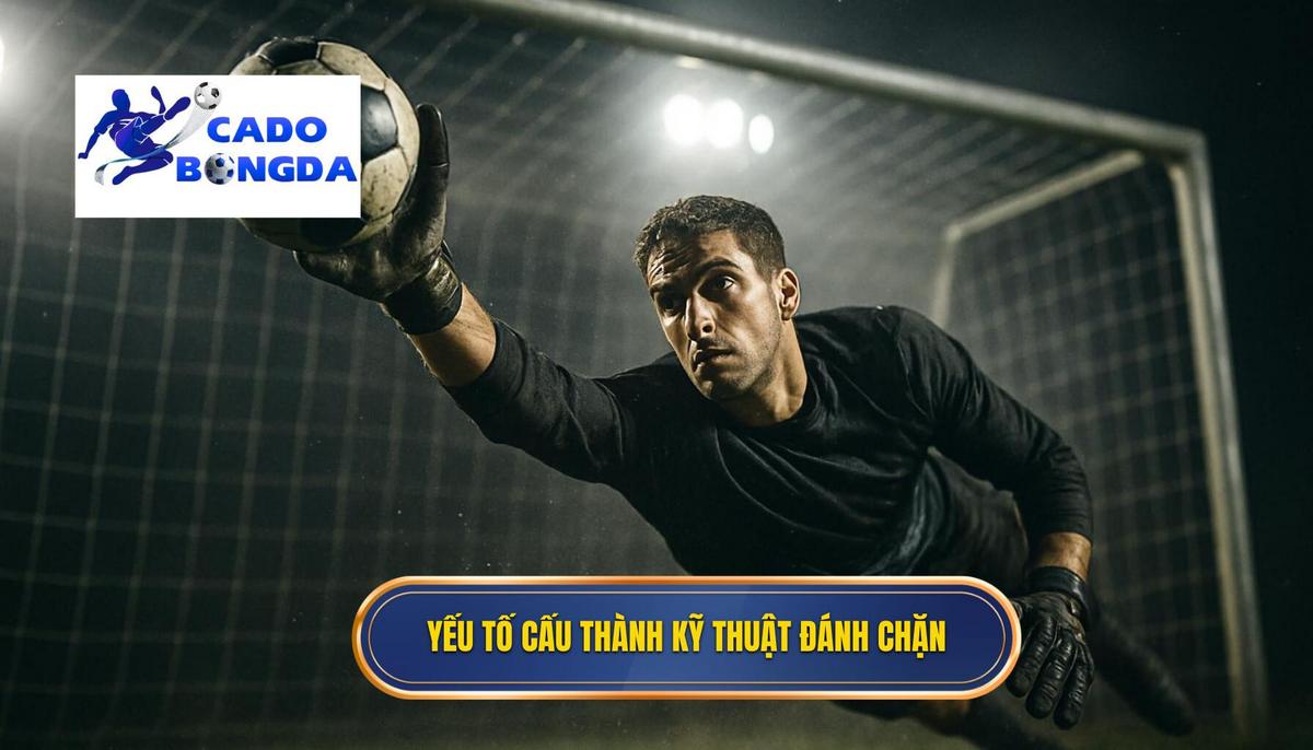 Các Yếu Tố Cấu Thành Kỹ Thuật Đánh Chặn Bóng Hoàn Hảo