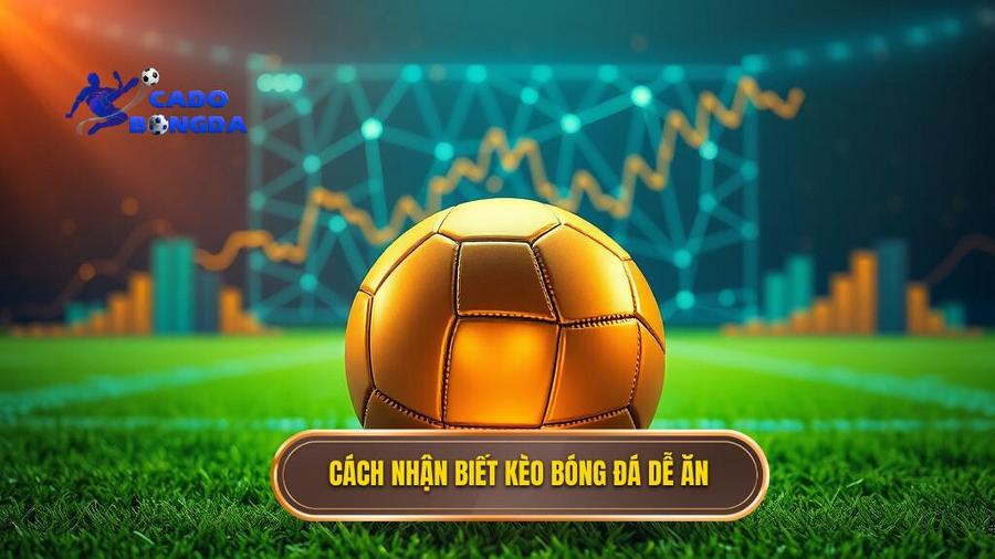 Cách nhận biết kèo bóng đá dễ ăn
