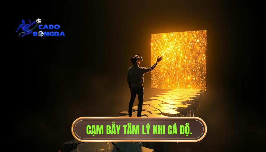 Tại sao cảm giác thường đánh lừa bạn trong cá độ?