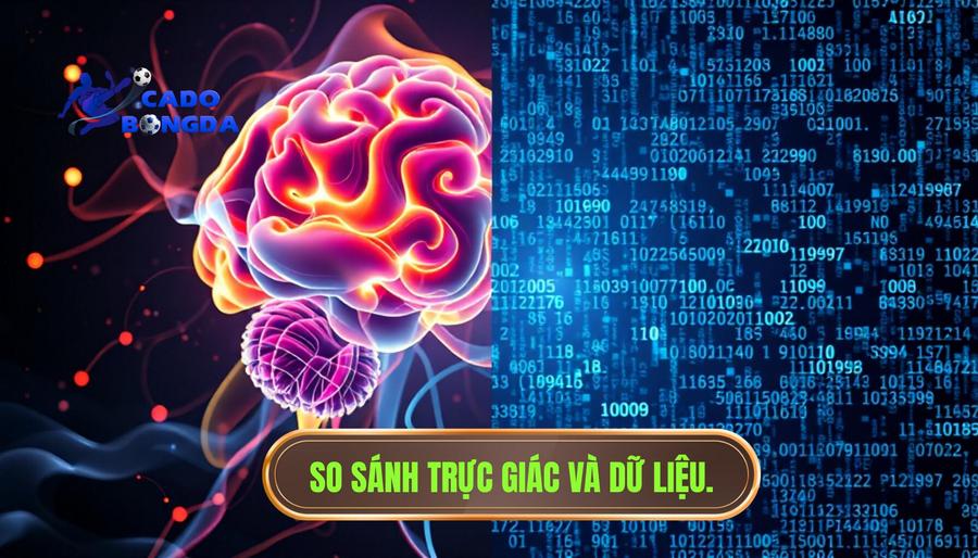 Phân tích sự khác biệt giữa Trực giác và Dữ liệu