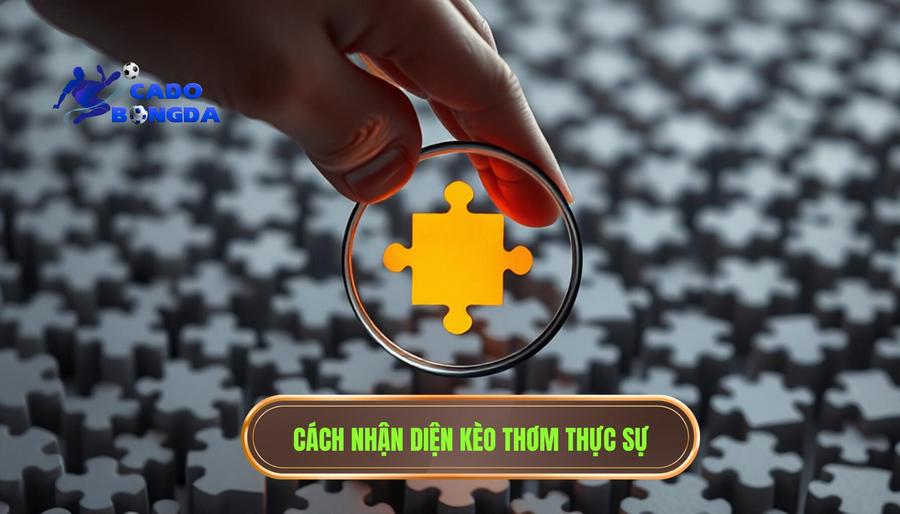 Chiến thuật nhận diện kèo "thơm" thực sự