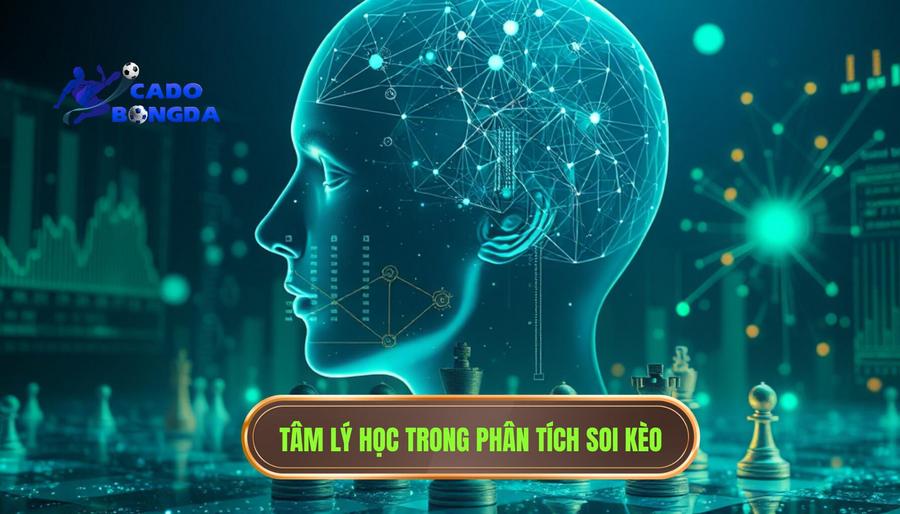 Phân tích đa chiều: Tâm lý học trong việc soi kèo