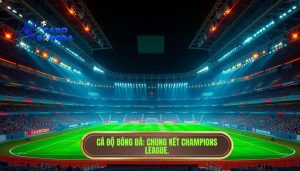 Chung kết Champions League diễn ra ở đâu? Thông tin chi tiết về địa điểm tổ chức Cúp C1
